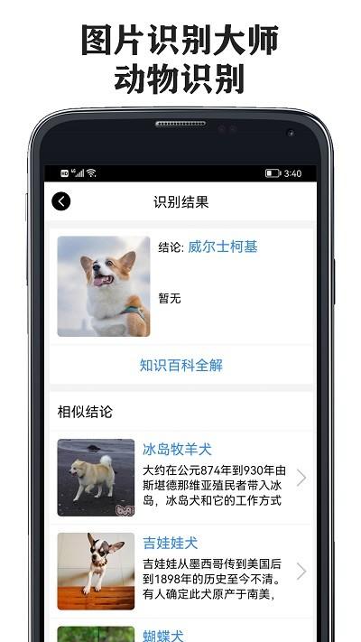 图片识别大师软件下载,图片识别大师,识别app,工具app