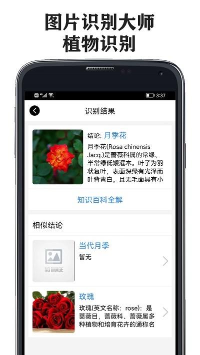 图片识别大师软件下载,图片识别大师,识别app,工具app